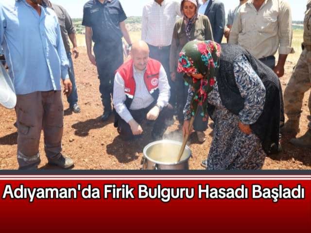 Adıyaman'da Firik Bulguru Hasadı Başladı
